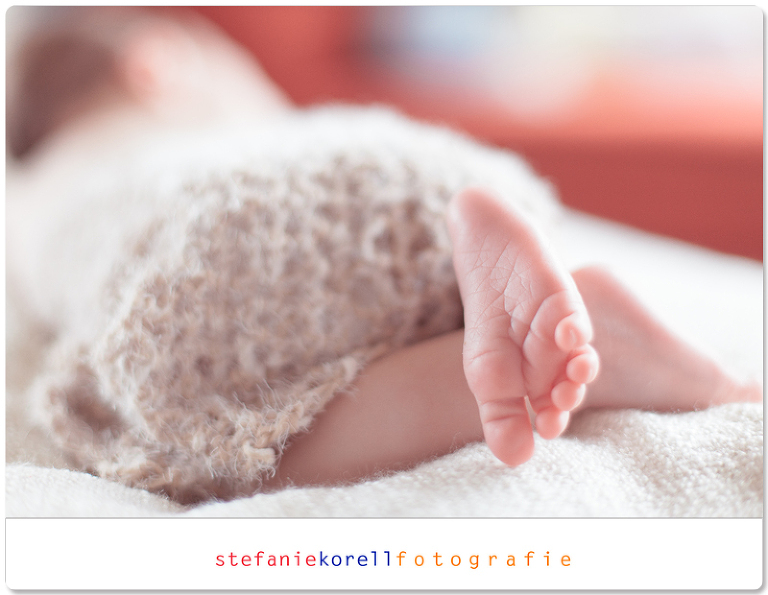 Babyfotografin Leonberg, www.babyfotografin-stuttgart.de