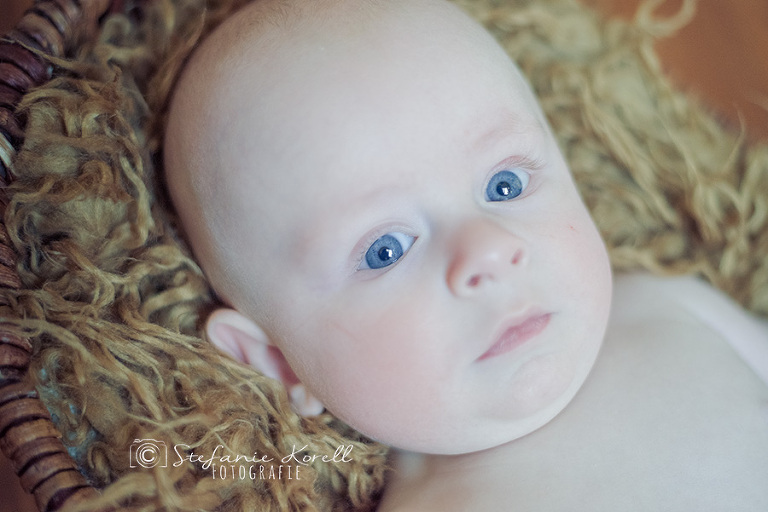 Babyfotografin Stuttgart, www.babyfotografin-stuttgart.de