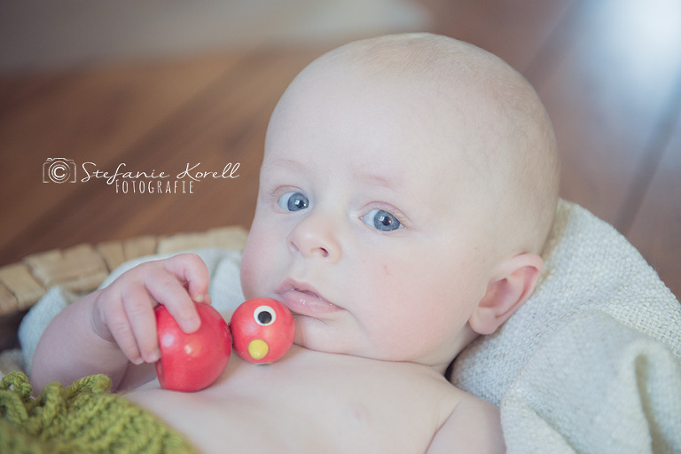 Babyfotografin Stuttgart, www.babyfotografin-stuttgart.de
