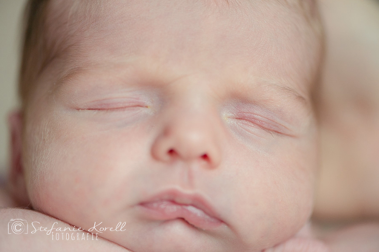 Neugeborenenfotos Eberdingen, www.babyfotografin-stuttgart.de