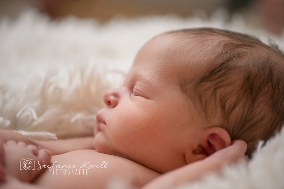 Neugeborenenfotografie Stuttgart, www.babyfotografie-stuttgart.de