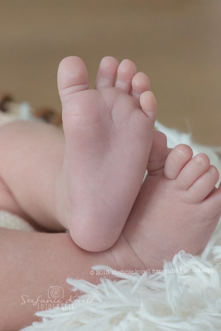 Babyfotografin Eberdingen, www.babyfotografin-stuttgart.de