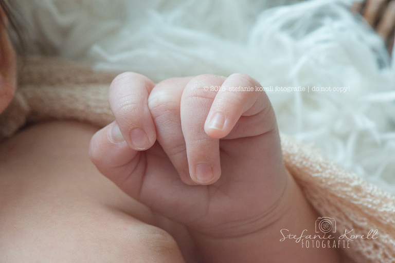 Babyfotografin Eberdingen, www.babyfotografin-stuttgart.de
