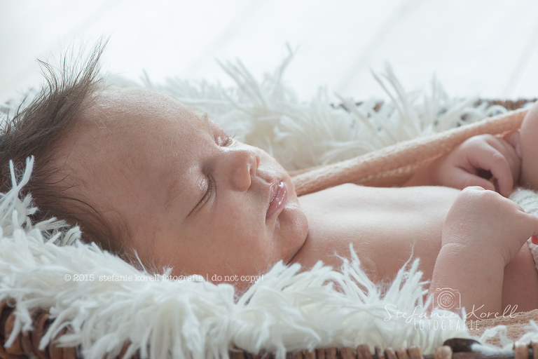 Babyfotografin Eberdingen, www.babyfotografin-stuttgart.de