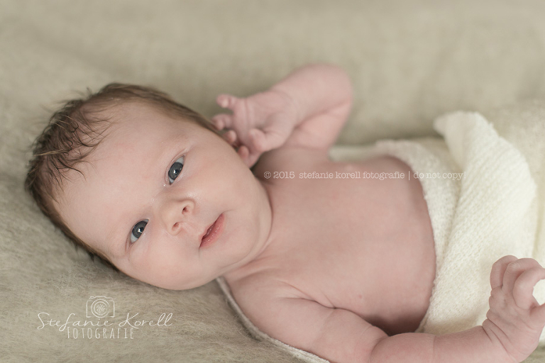 Babyfotos Stuttgart, www.babyfotografin-stuttgart.de