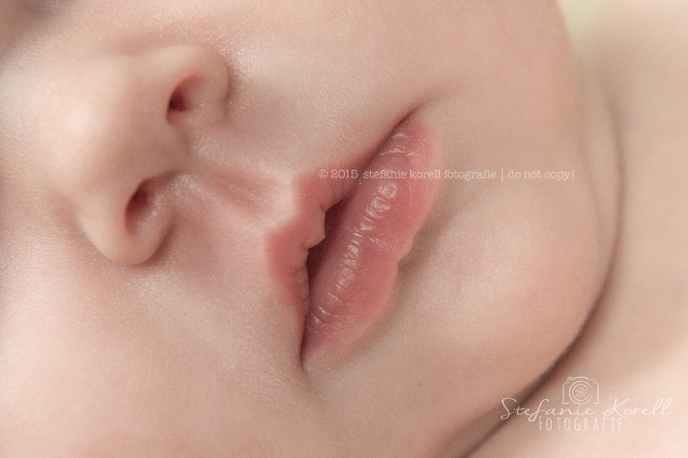 Babyfotos Stuttgart, www.babyfotografin-stuttgart.de