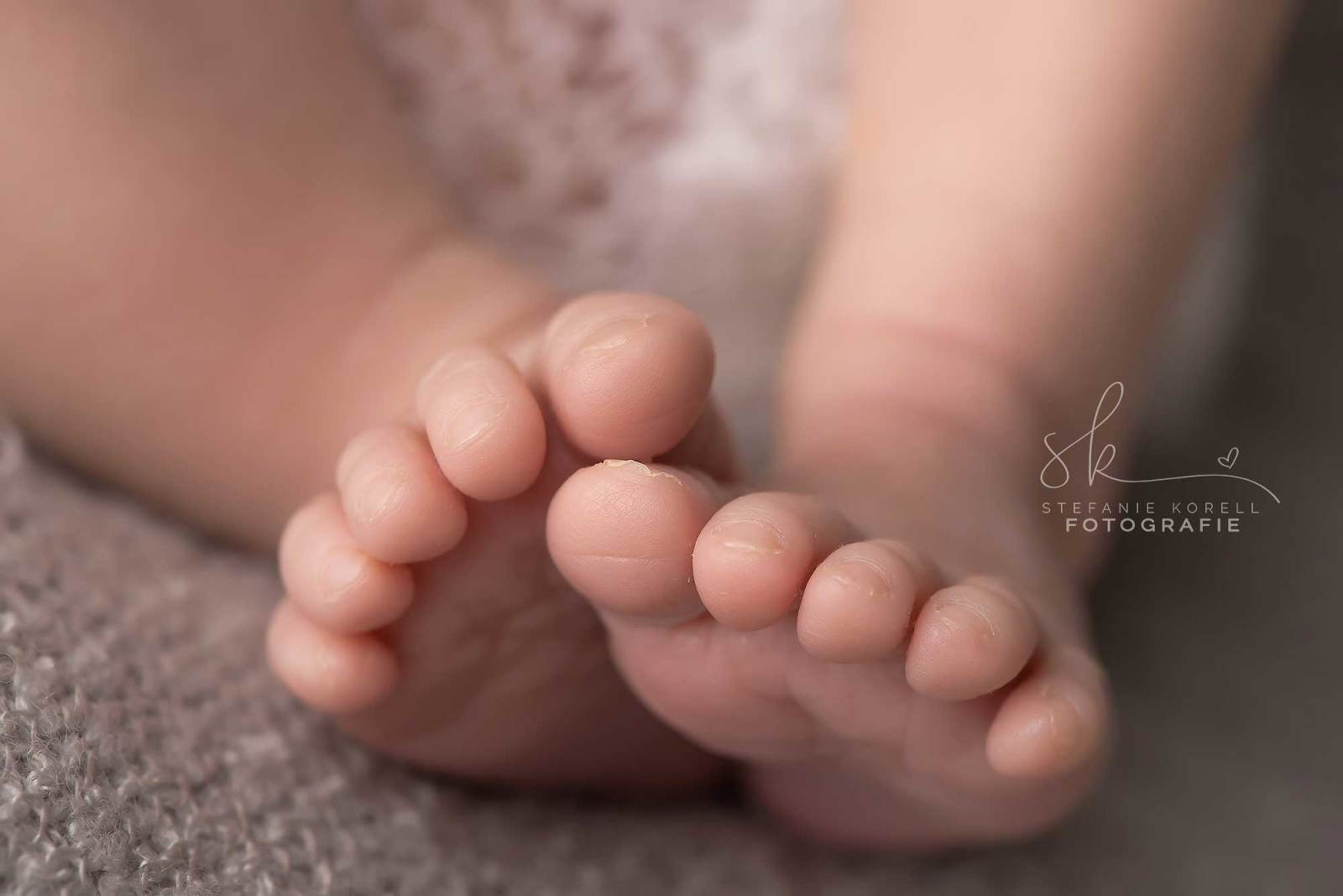 Neugeborenenfotografin Eberdingen Stefanie Korell Fotografie
