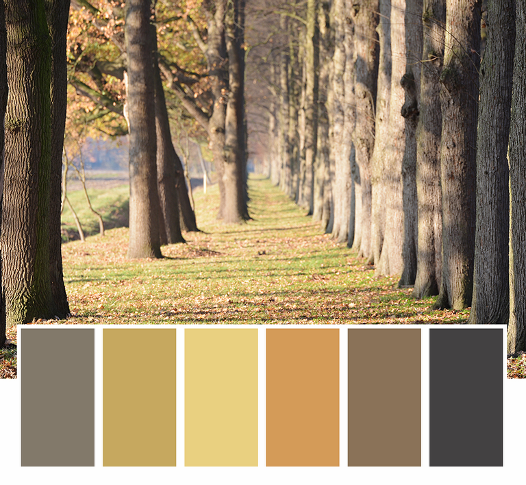 Farbbeispiel Herbst
