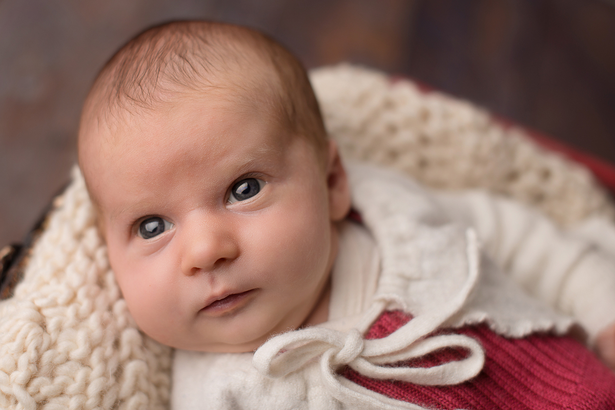 Baby im Korb im Fotostudio